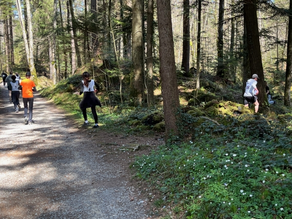 Orientierungslauf 2025 der ORS