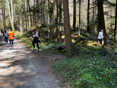 Orientierungslauf 2025 der ORS
